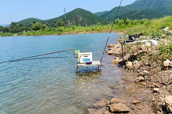 台钓鲫鱼看吃漂的方法，浮漂有力地下顿是顿口